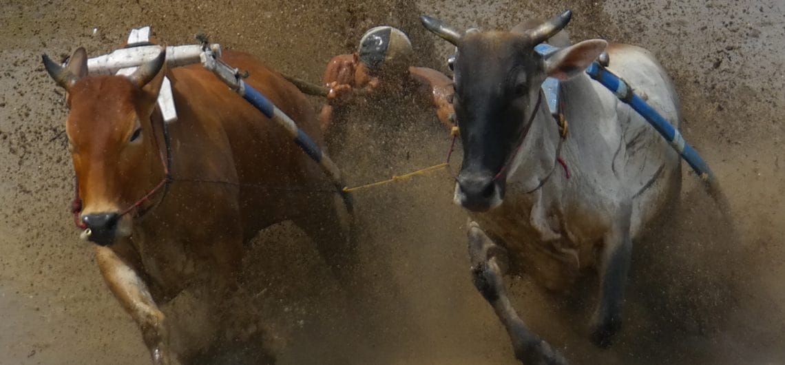 Mengenal Budaya Sumatera